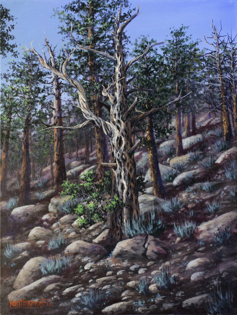 missy-s-braided-bristle-cone-pine-standard.jpg