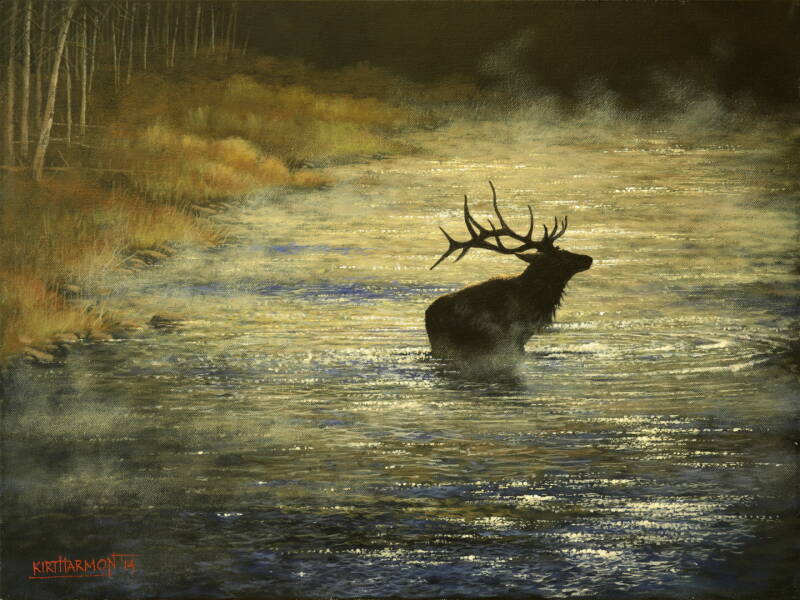 misty-morning-elk-standard.jpg