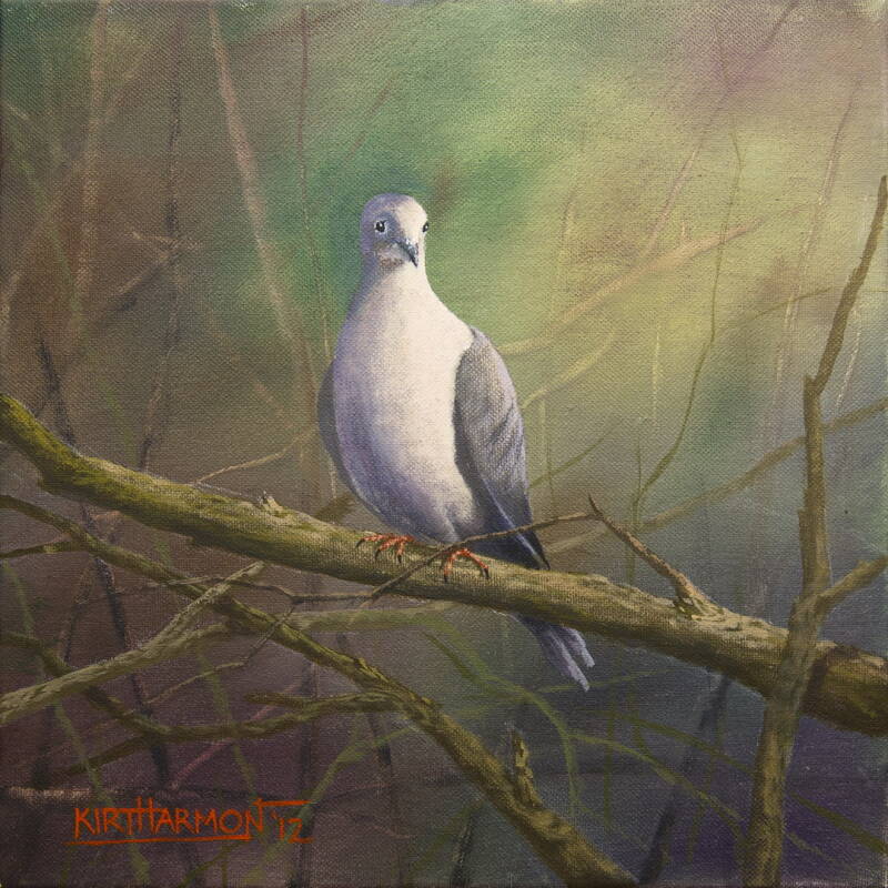 mourning-dove-standard.jpg