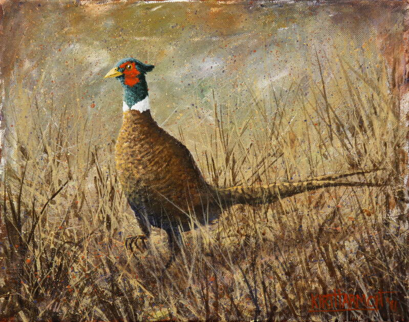 pheasant-run-standard.jpg
