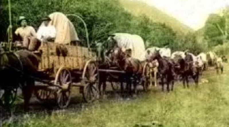 pioneers-cropped-standard.jpg
