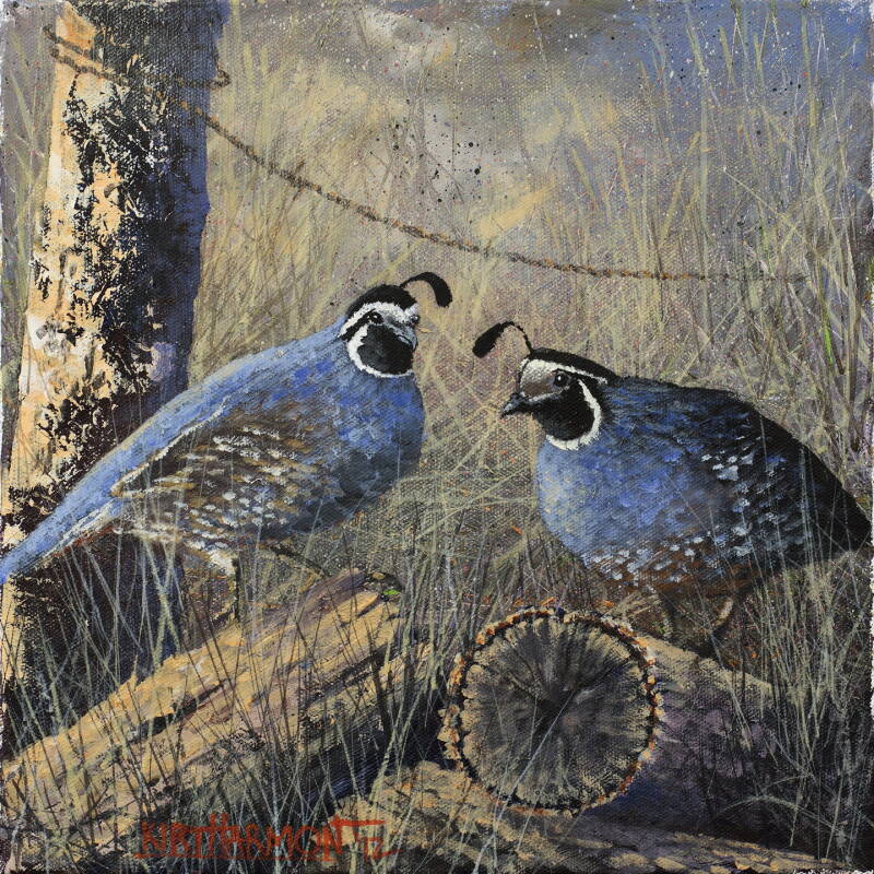 quail-standard.jpg