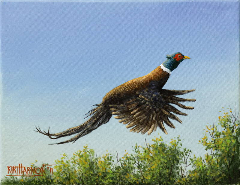 rooster-flight-standard.jpg
