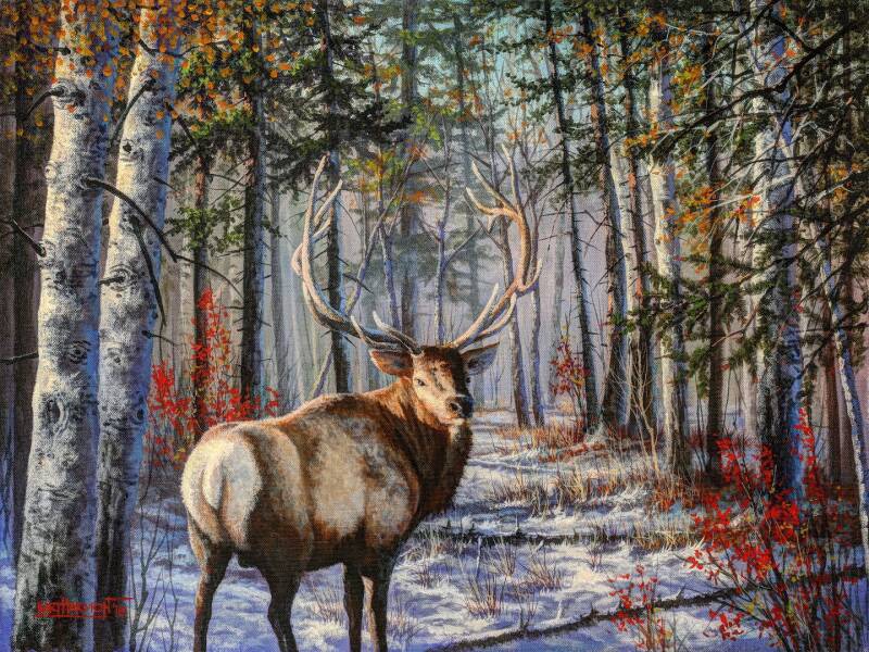 royal-elk-standard.jpg