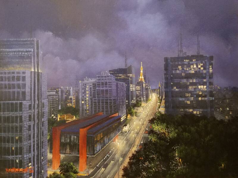 sao-paulo-at-night-standard.jpg