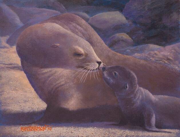 sea-lion-and-pup-baird-standard.jpg