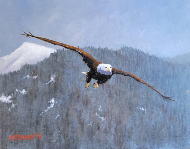 soar-standard-wt42iz.jpg