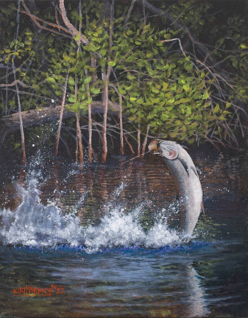 tarpon-baird-standard.jpg