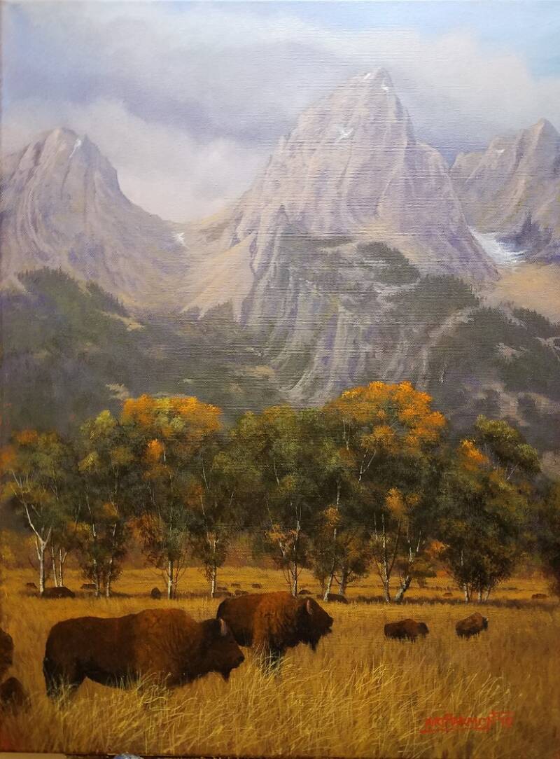 teton-bison-standard.jpg