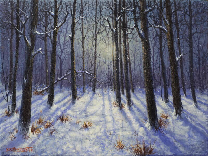 winter-shadows-standard.jpg