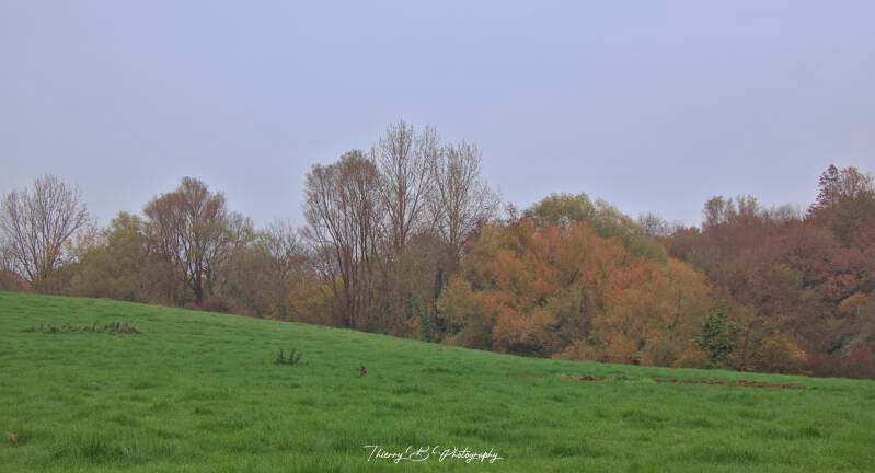 campagne d'automne