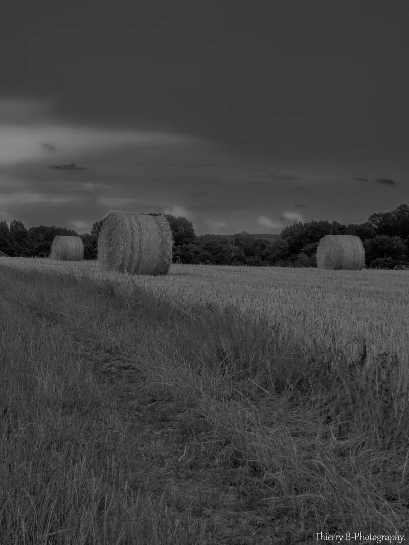 ballot de paille mono