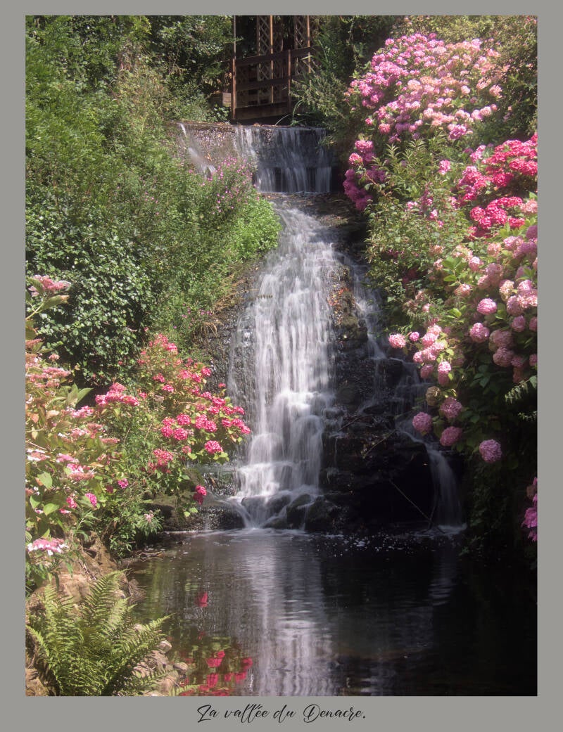 cascade fleurie