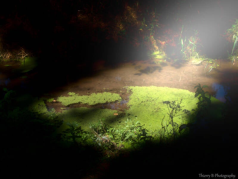 rivière et lumière