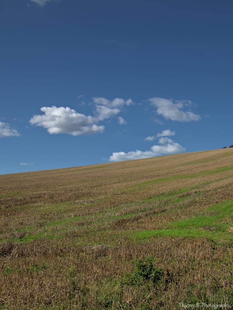 champ et nuages
