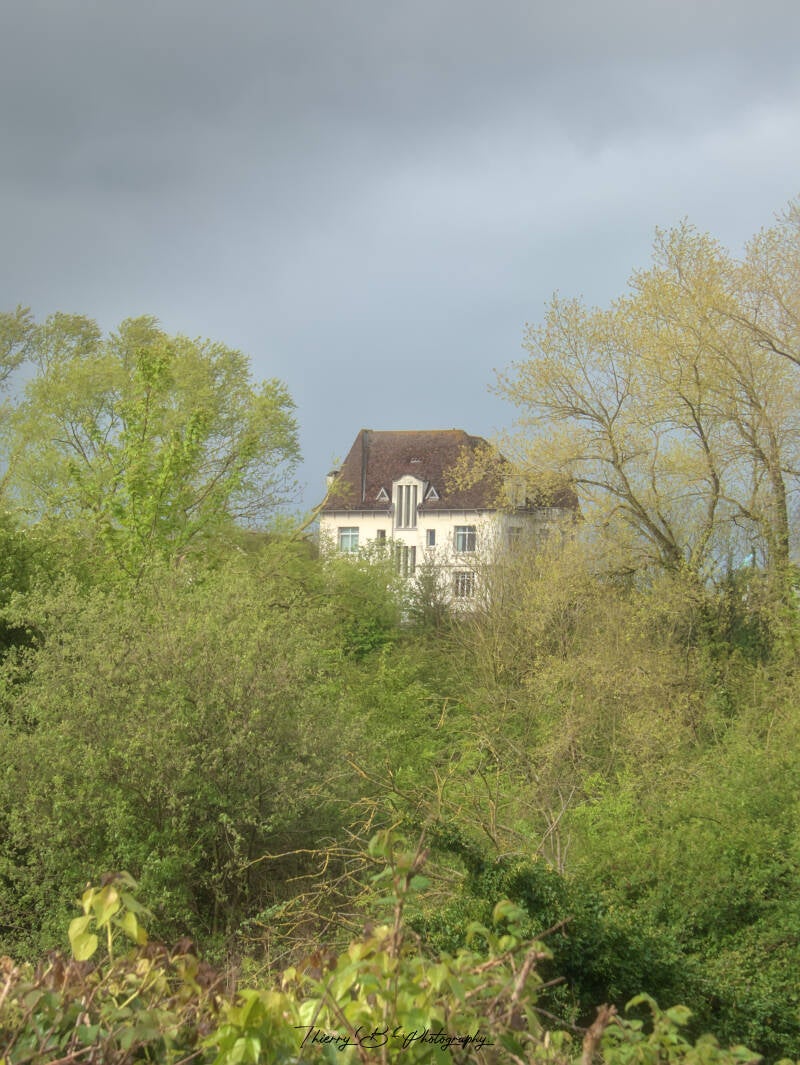 château dans les arbres