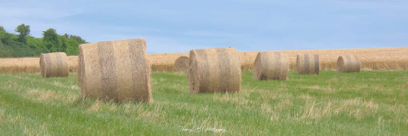meules de foin