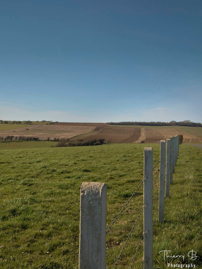 poteaux dans le champ