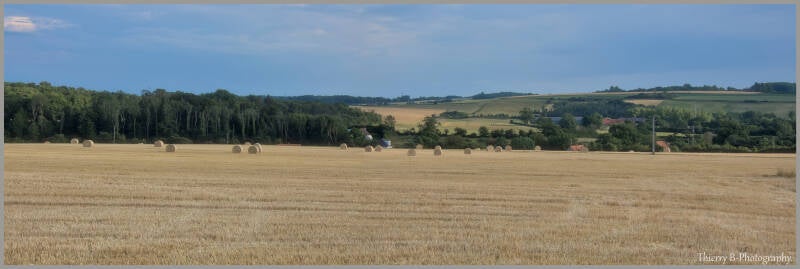 vue de campagne