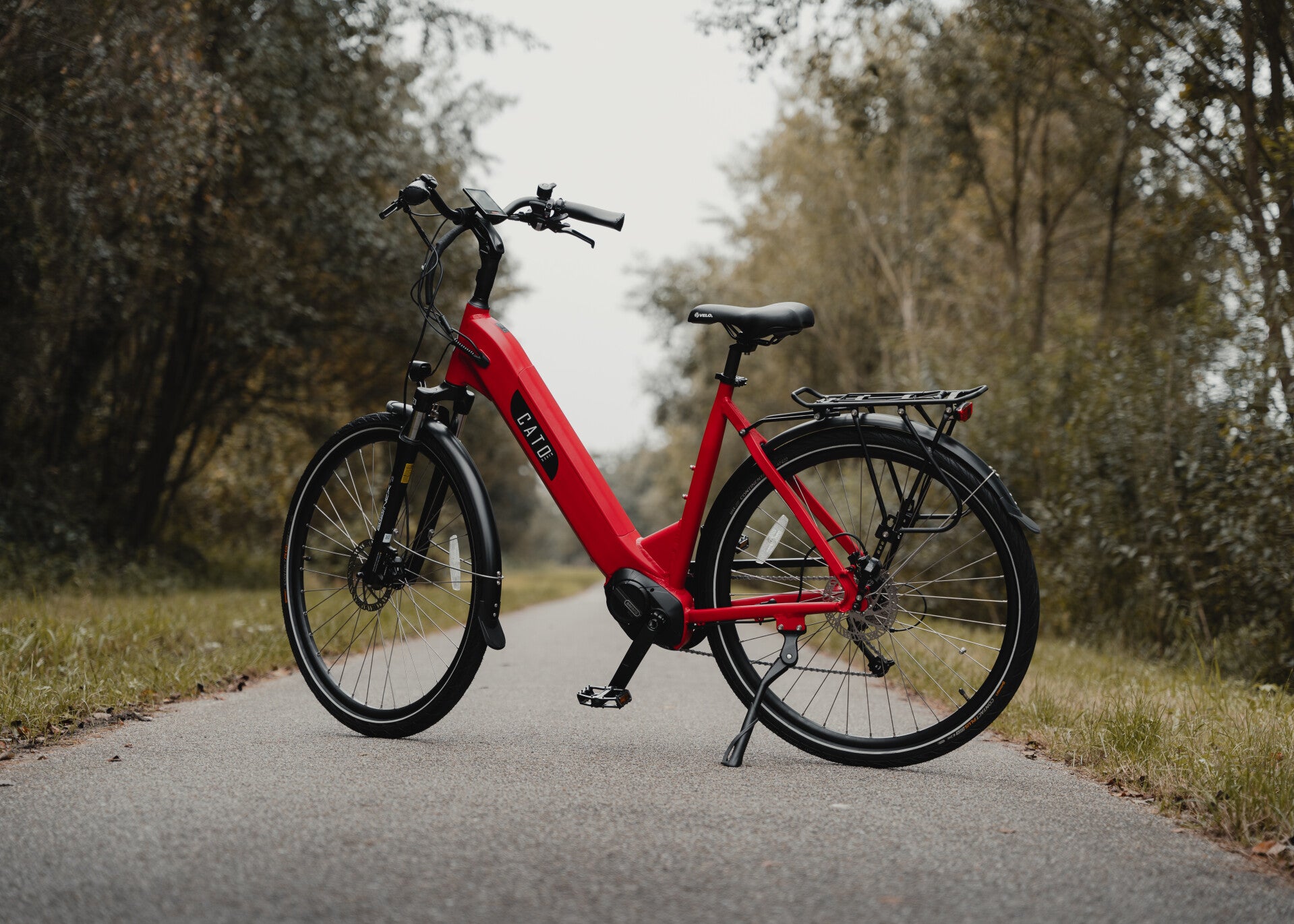 CATO city cruiser | red mat | 57 cm| DEMO