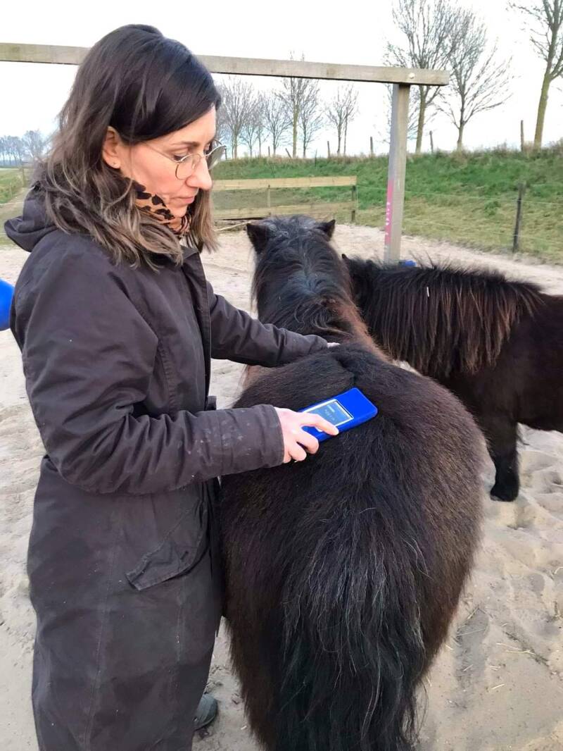 NES Health Animal bodyscan Klarinda met Harley