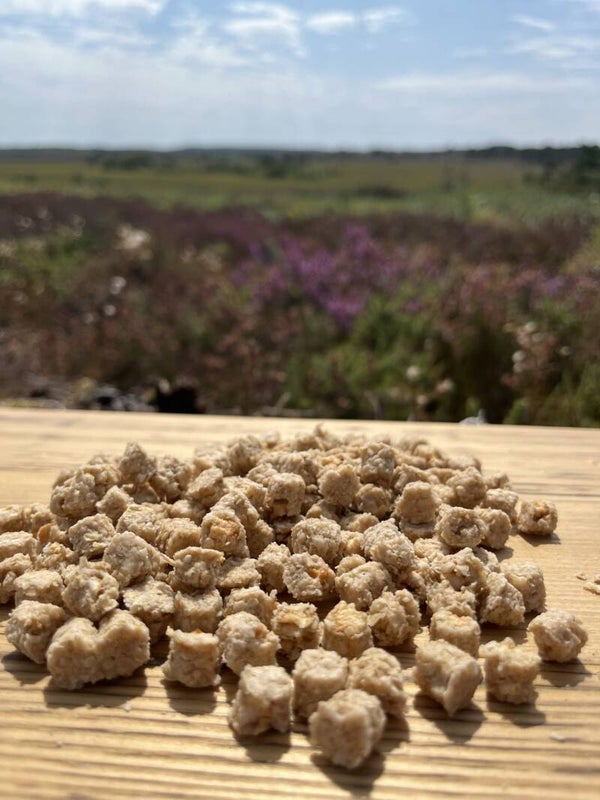 Small Bite Apple Biscuits
