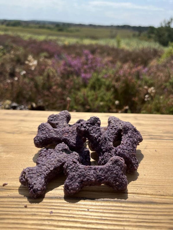 Blueberry Biscuits