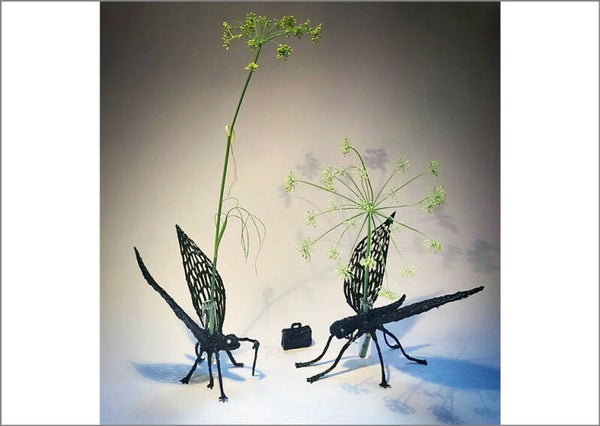 Blooming old insects