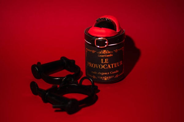 Le Provocateur