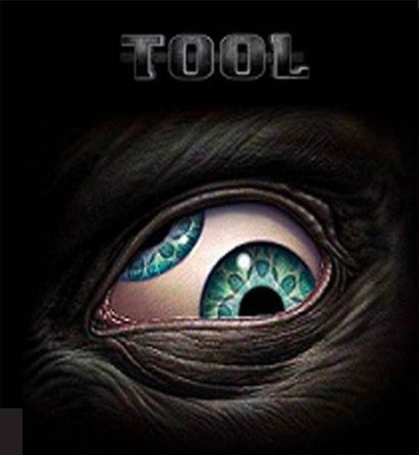 CAMISETA TOOL EYE