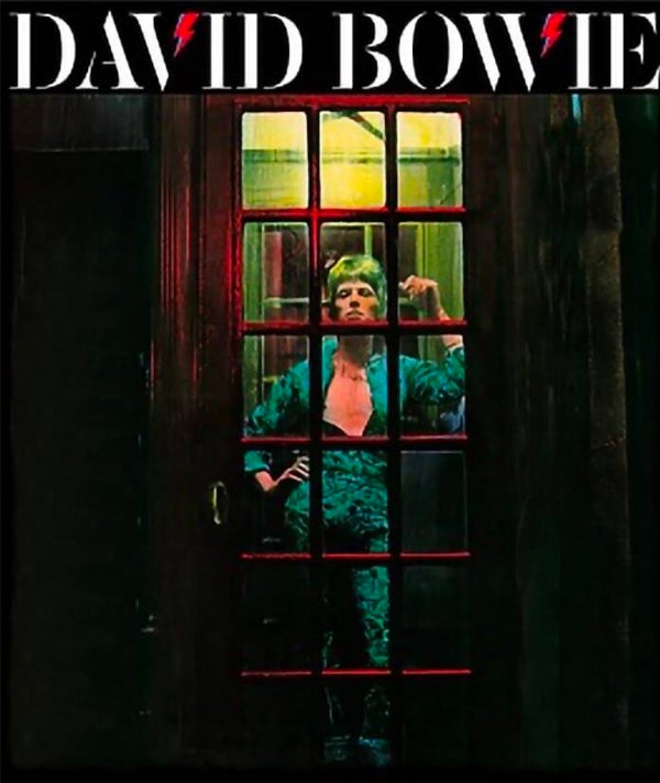 CAMISETA DAVID BOWIE ZIGGY STARDUST