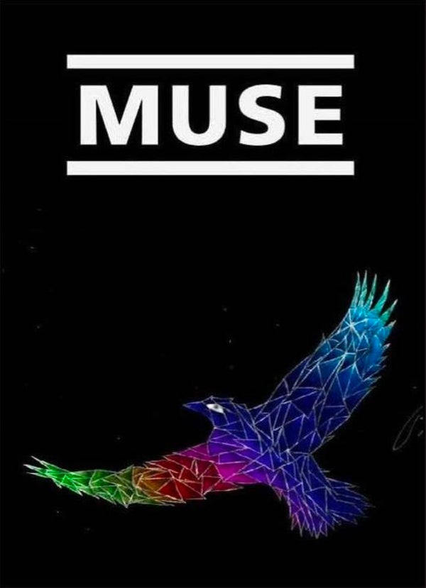 CAMISETA MUSE EAGLE