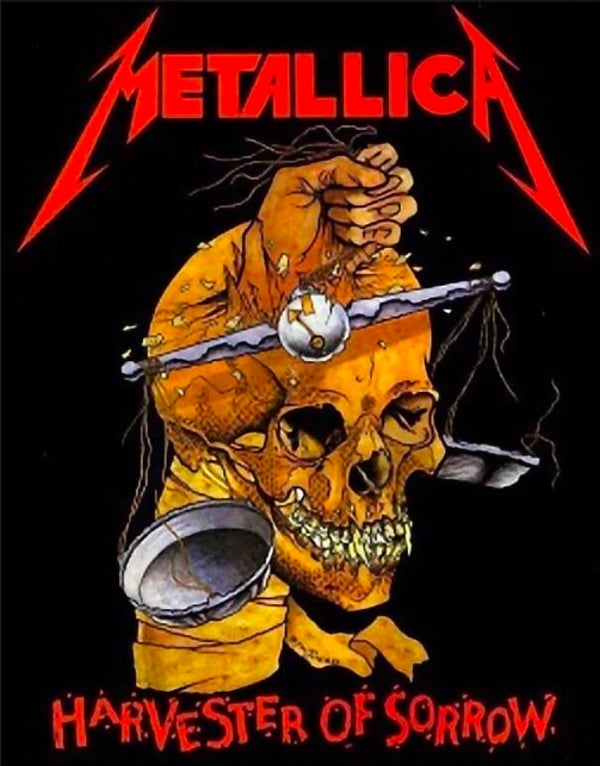 CAMISETA METALLICA HARVESTER OF SORROW