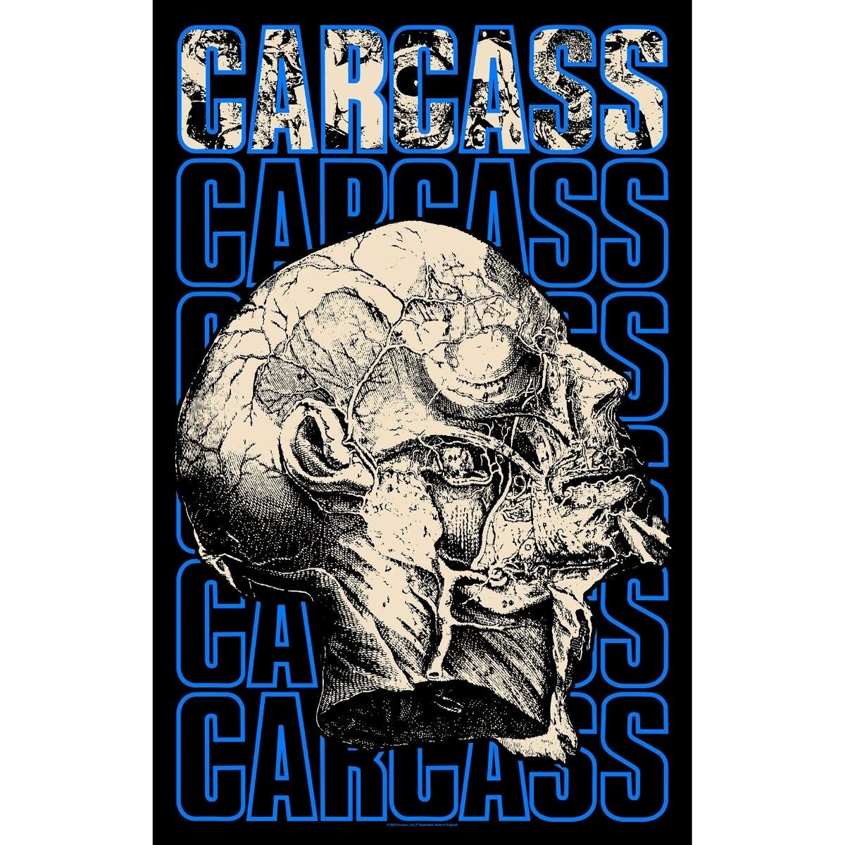 BANDERA CARCASS