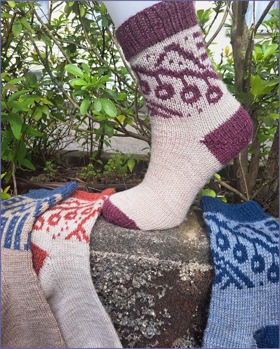 Les chaussettes Grenoble
