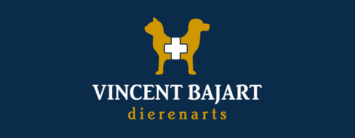 Vincent Bajart, partner van KdNS Heule