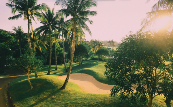 GOLF & GANJA Day Trip From Little Bay