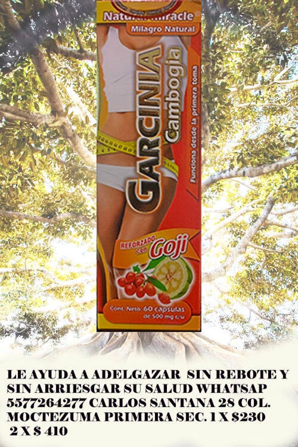 BAYAS DE GOJI CON GARCINIA