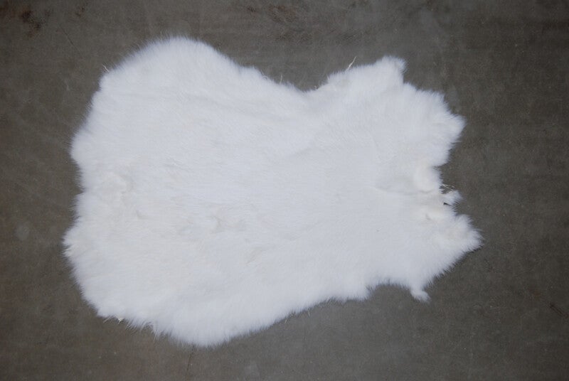 Konijnenvacht of konijnenvachten wit