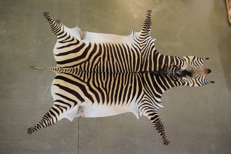 Zebrahuid Hart mann A