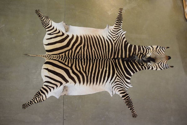 Zebrahuid Hart mann A