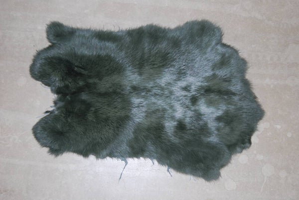Konijnenhuiden of konijnenvachten olijfgroen.