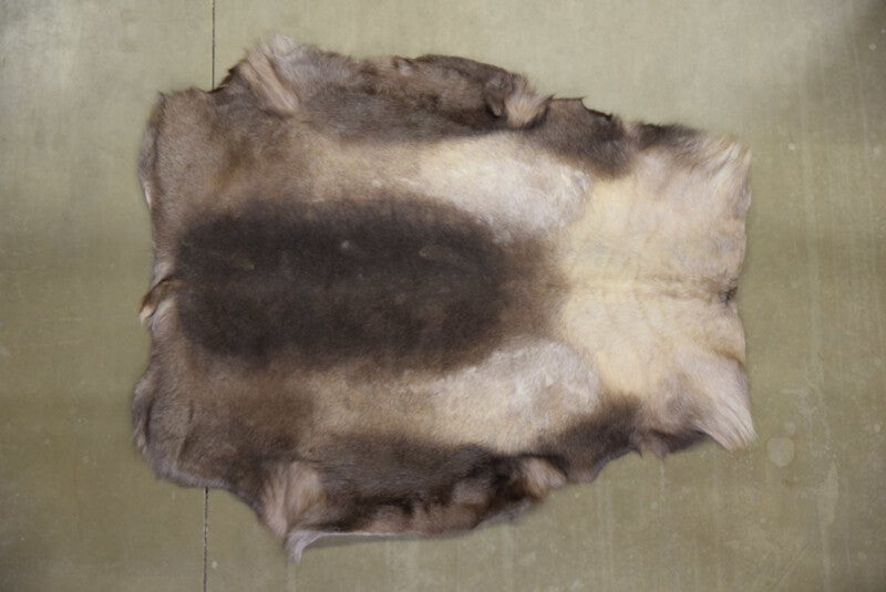 Rendierhuiden B6