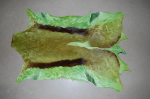 Springbokhuiden fel groen 1STE KEUS