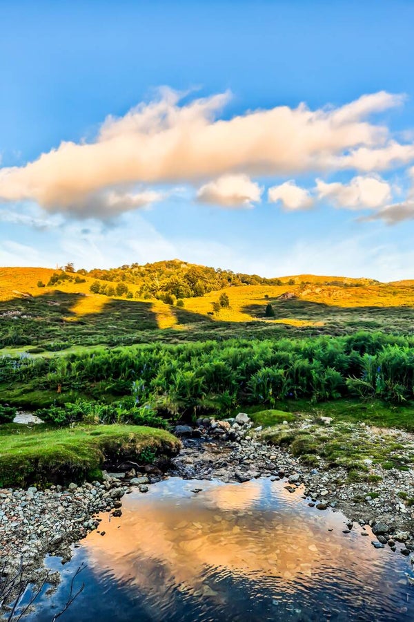 L'harmonie de la nature en Corse