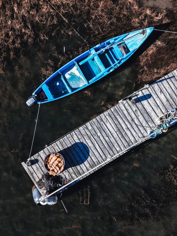 La barque