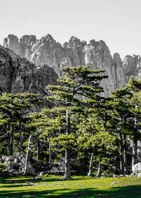 Les aiguilles de Bavella