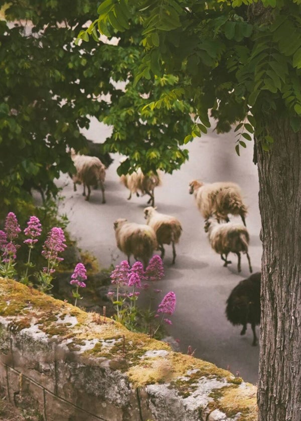 La quiétude du village de Fozzano