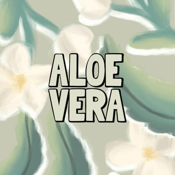 Fondants Aloe Vera 80g