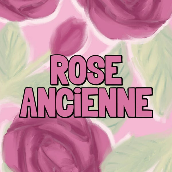Fondants Rose Ancienne 80g
